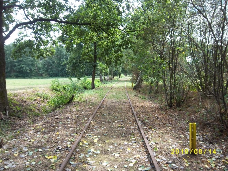 ZWNEGI39